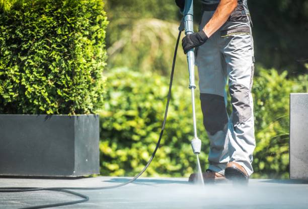 Best Animal Enclosure Cleaning  in Scandia, MN
